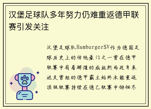 汉堡足球队多年努力仍难重返德甲联赛引发关注